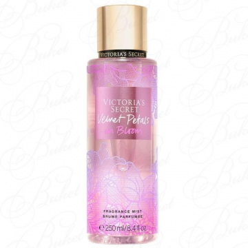 Victoria Secret Velvet Petals In Bloom B  250 ml  (667550749775)