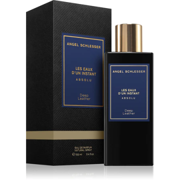 Angel Schlesser Absolu Deep Leather Парфюмированная вода 100 ml  примятые (84476)